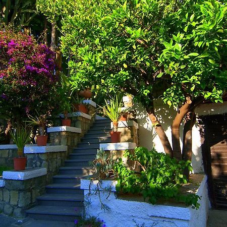 Hotel Terme Castaldi Forio di Ischia Dış mekan fotoğraf