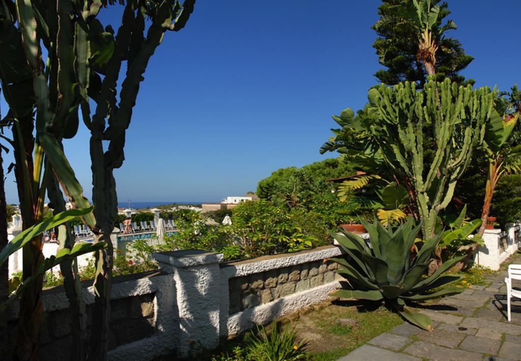 Hotel Terme Castaldi Forio di Ischia Dış mekan fotoğraf