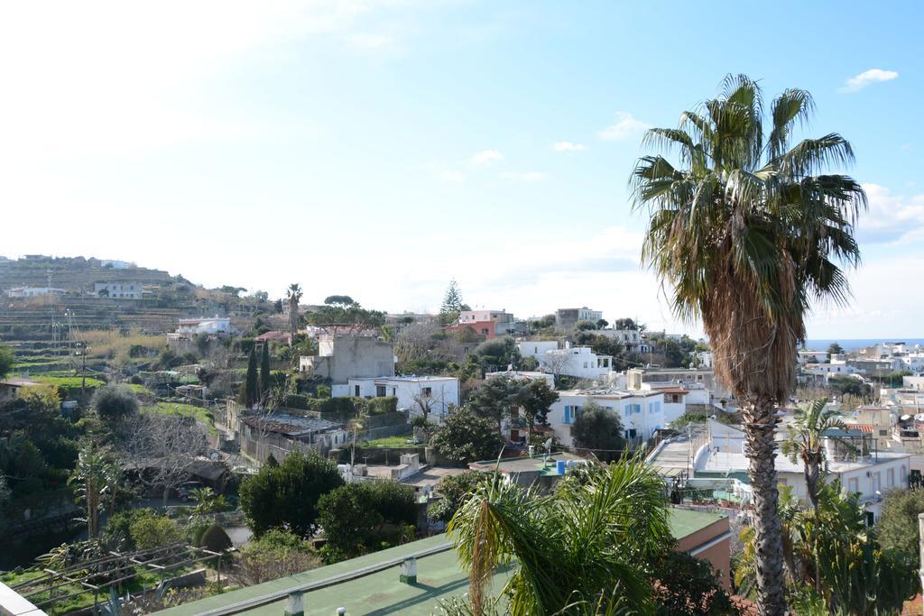 Hotel Terme Castaldi Forio di Ischia Dış mekan fotoğraf