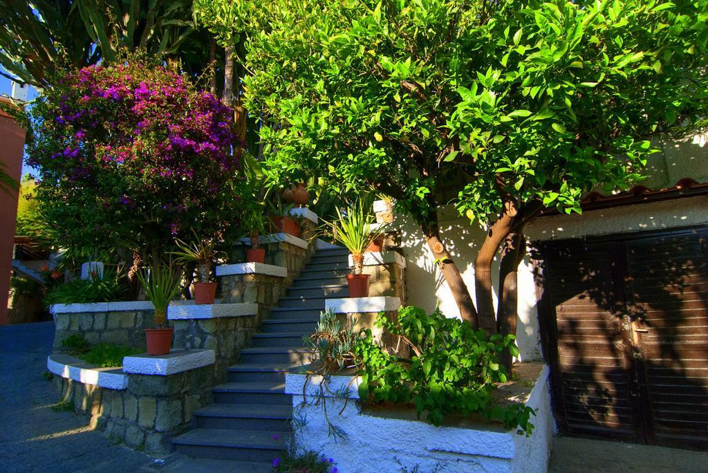 Hotel Terme Castaldi Forio di Ischia Dış mekan fotoğraf